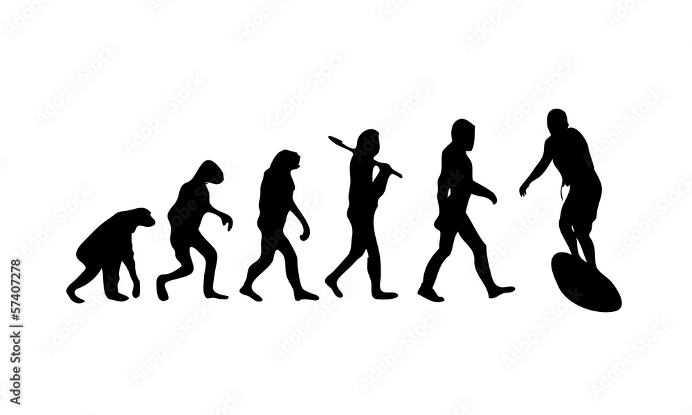 Evolution Surfing