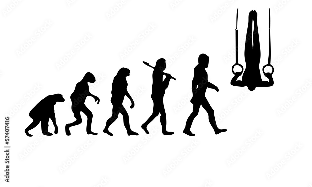 Evolution Gym 3