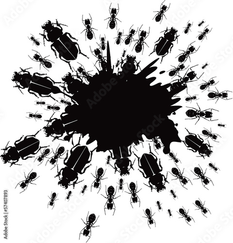 Ink splash and insects