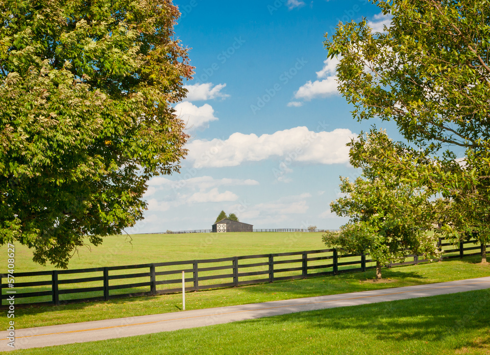 Green pastures of horse farms