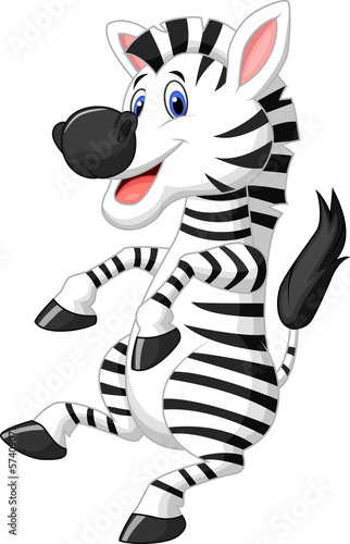 Cute zebra cartoon