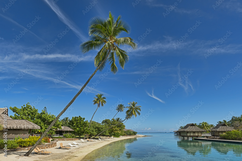 Obraz premium Französisch-Polynesien-Moorea-6558