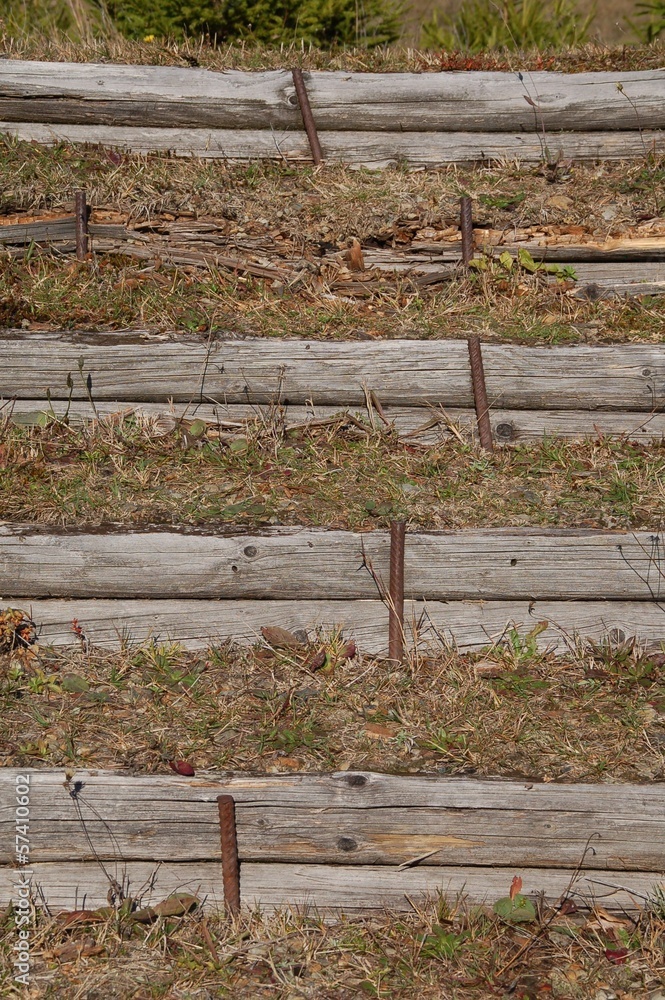 Treppenstufen aus Holz
