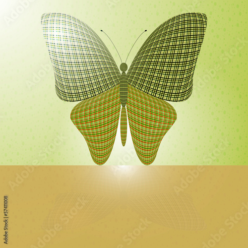 butterfly on the wall and its reflection on a horizontal surface