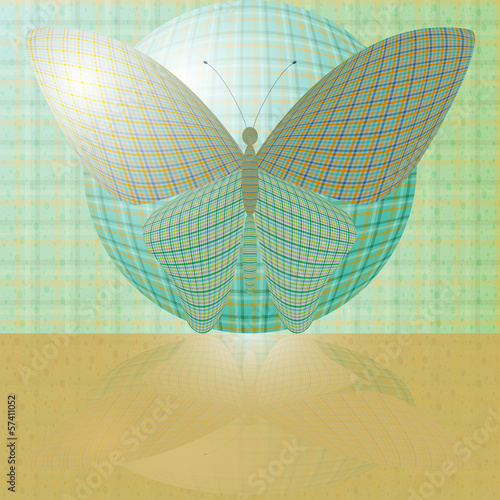butterfly on the ball