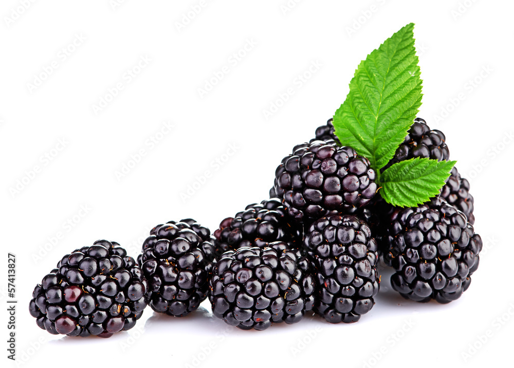 blackberry isolated on white blackberry isolated on white