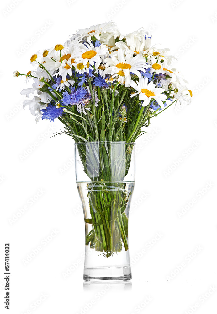 beautiful bouquet of daisies in vase