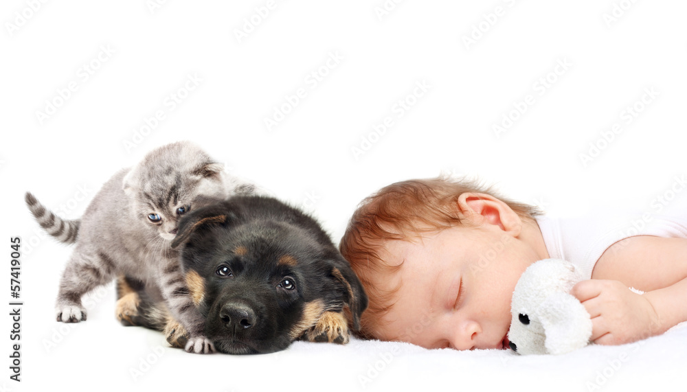 Sleeping Baby Boy with toy dog, puppy and kitten.