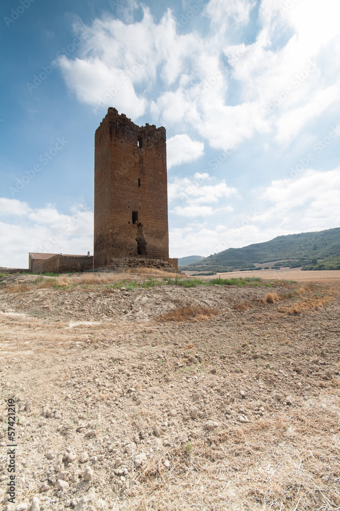 Castle of Luna (Aragon) in a summer day