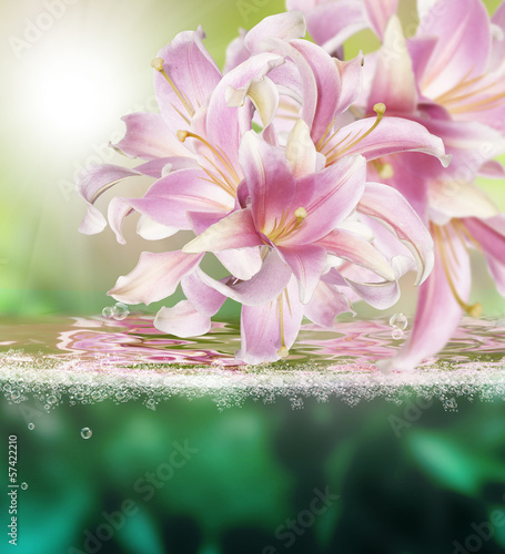 Fototapeta Naklejka Na Ścianę i Meble -  Flower beautiful orchid.Exotic water background