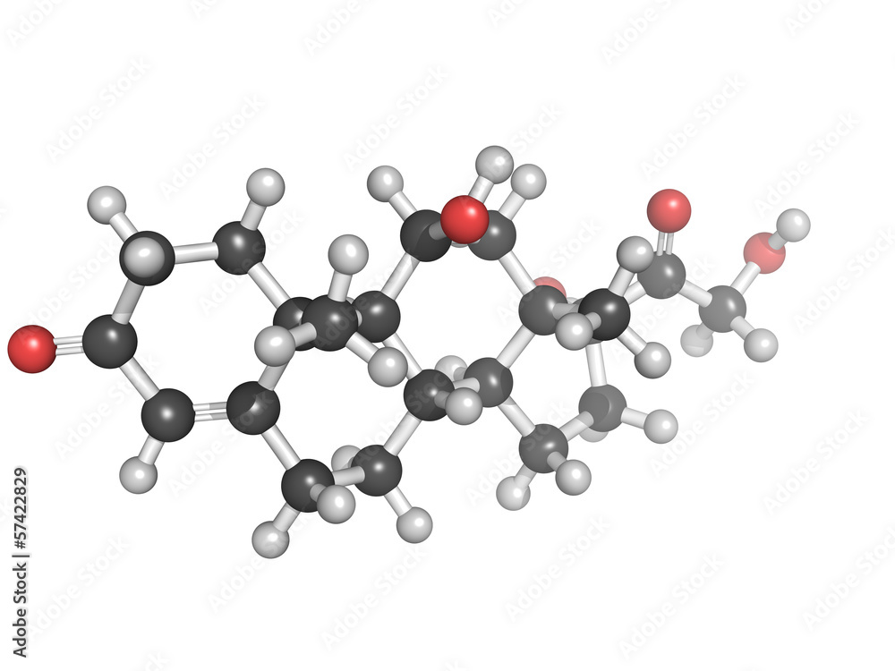 Cortisol ball and stick model Cortisol ball and stick model
