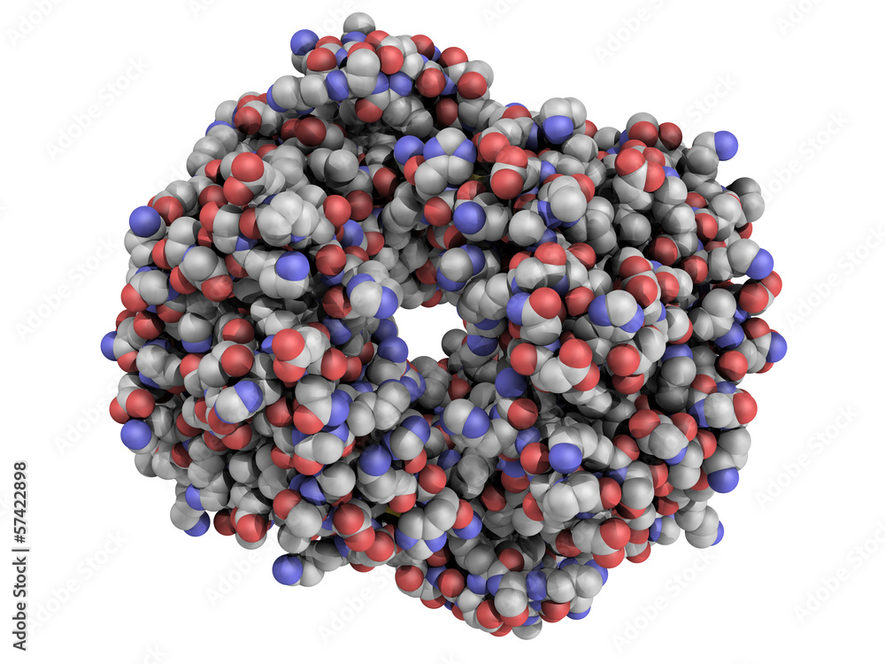 Human hemoglobin (Hb) protein molecule, chemical structure. Human hemoglobin (Hb) protein molecule, chemical structure.