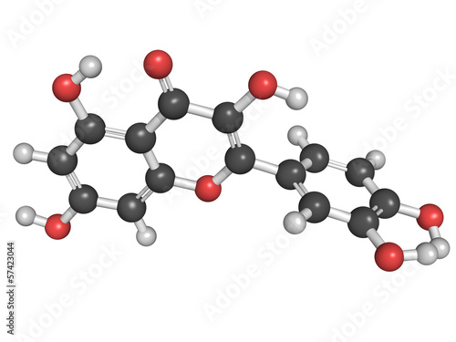 Chemical structure of a quercetin flavonoid molecule
