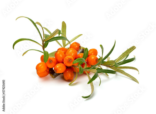 Sea-buckthorn berries