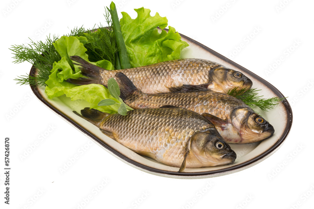 Raw Crucian Raw Crucian