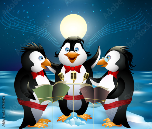 Night song of penguins