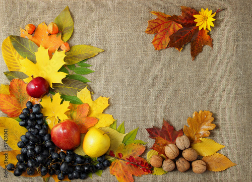 Grapes, apples, autumn leaves on the background.