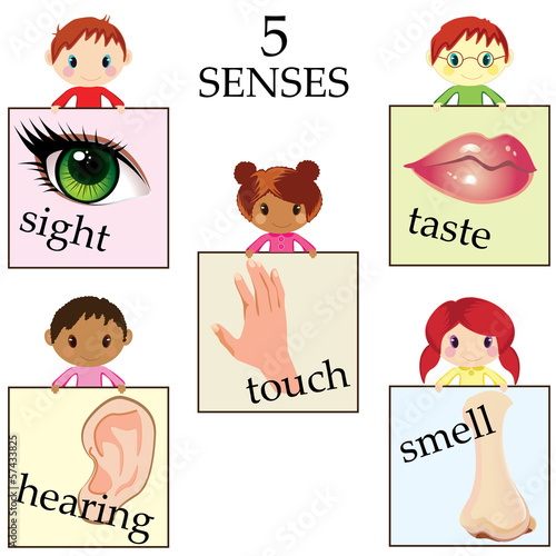Five senses