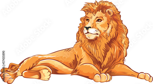 lion lies