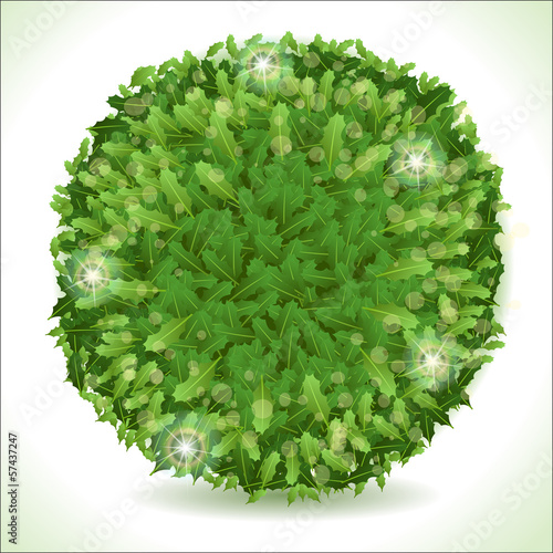 Holly Leaves Circle Placeholder Isolated on White