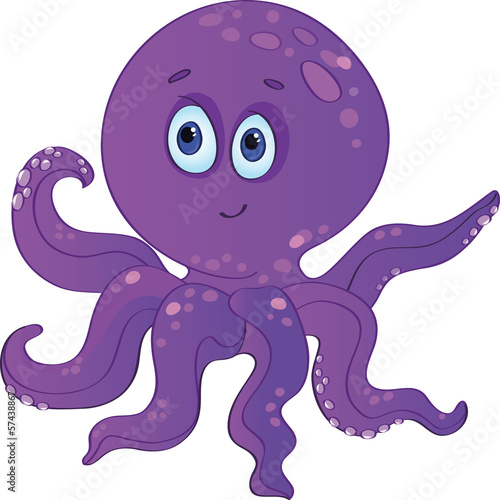 cute baby octopus