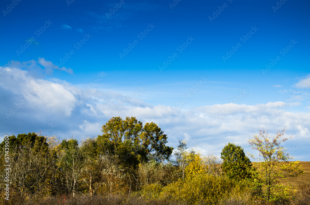 brown field and blue sky brown field and blue sky