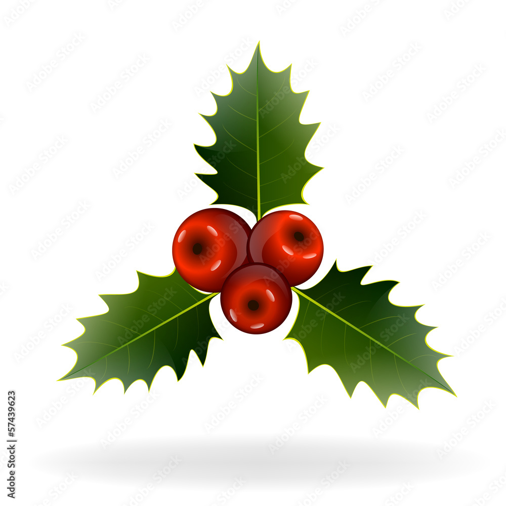 Holly berries on white background. Christmas decorations Holly berries on white background. Christmas decorations