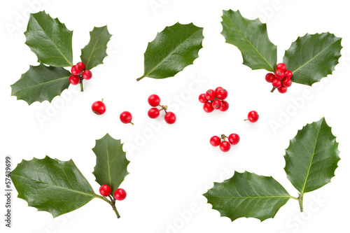 Fotografia Holly leaves and berries