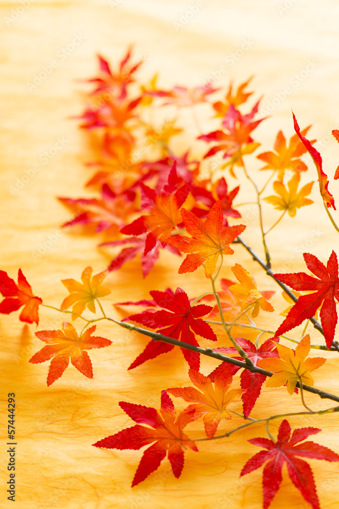 Fototapeta premium 造花の紅葉