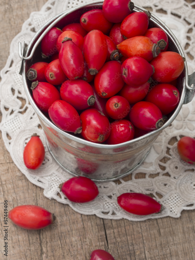 fresh rosehips fresh rosehips