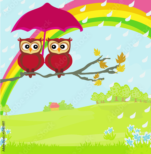 Owls couple under umbrella, autumn rainy day