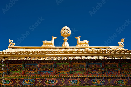 Tibetan Monastery Gates.  India, Ladakh photo