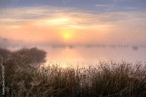 Great misty sunset over swamp