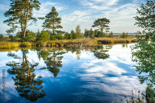 Fototapeta Naklejka Na Ścianę i Meble -  Reflections on a calm swamp lake