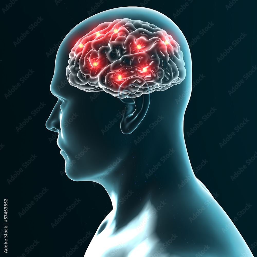 Obraz premium Cervello neuroni sinapsi