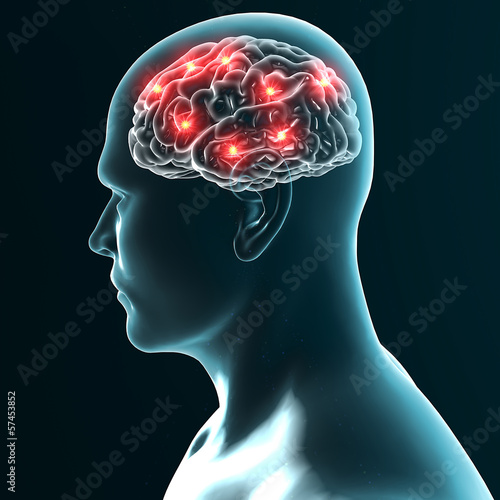 Cervello neuroni sinapsi photo