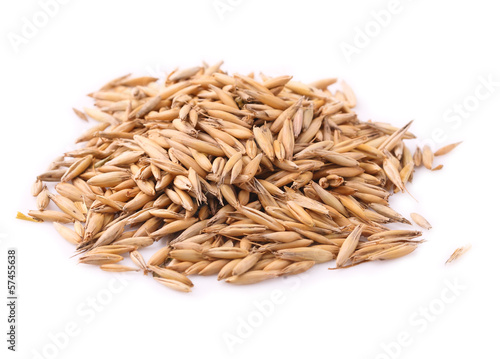 a handful of oats