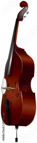 Double bass realistic vector illustration