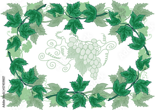 Abstract frame from grapevines