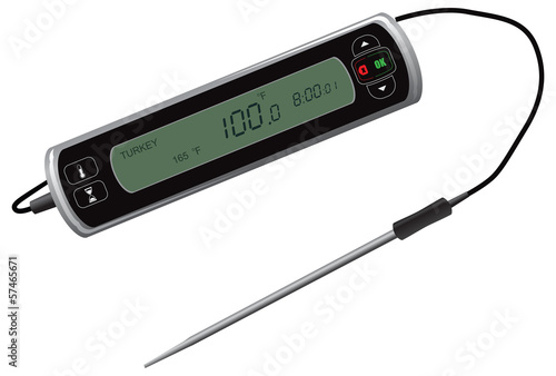 Digital thermometer