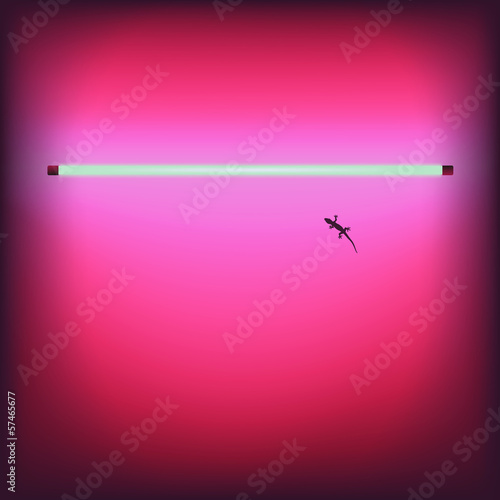 Neon sexy shop bar signboard - vector Eps10 illustration.