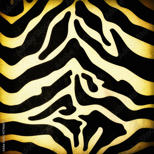 Zebra skin pattern