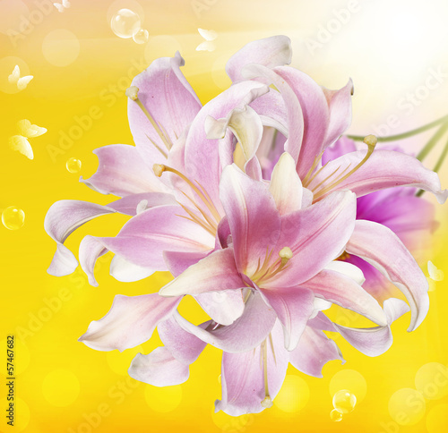 Exotic flower card.Orchid
