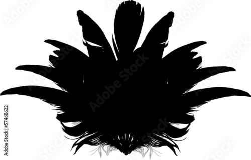 bird feather fan silhouette on white
