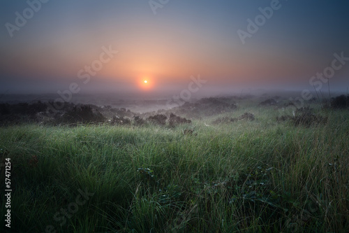 misty calm sunrise over swamp with heather