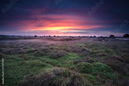 dramatic sunrise over heather land