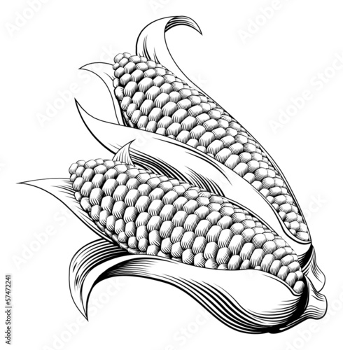 Vintage retro woodcut sweetcorn