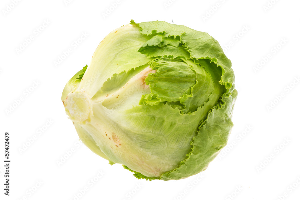 Salad Iceberg Salad Iceberg