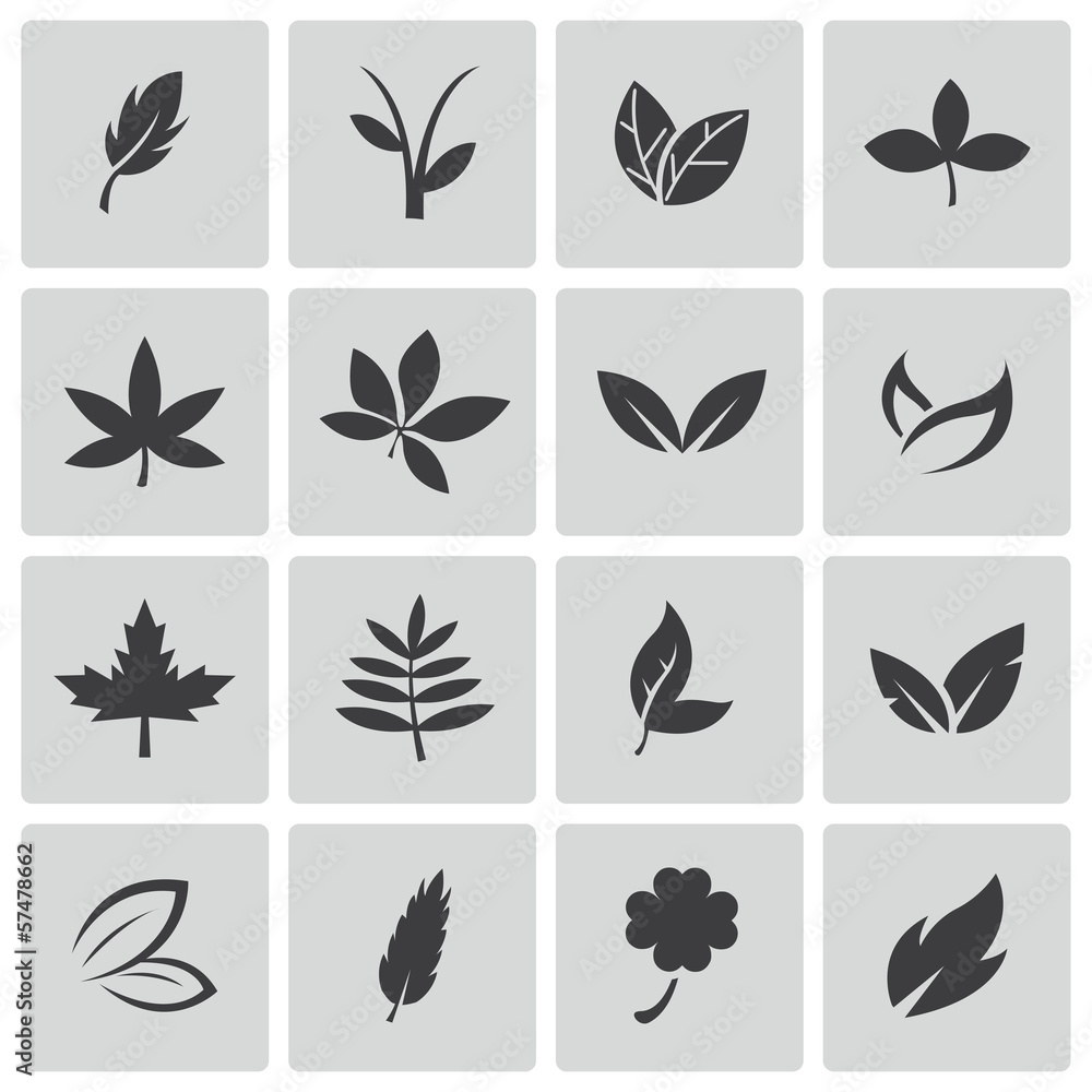 Vector black leaf icons set Vector black leaf icons set