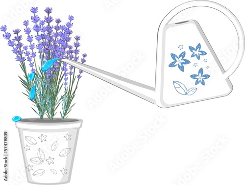 White watering can and flower pot with lavender